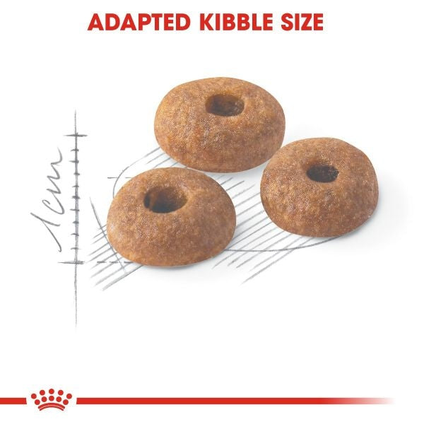 Royal Canin  Fit 32
