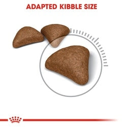 Royal Canin Hairball
