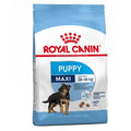 Royal Canin Puppy Maxi