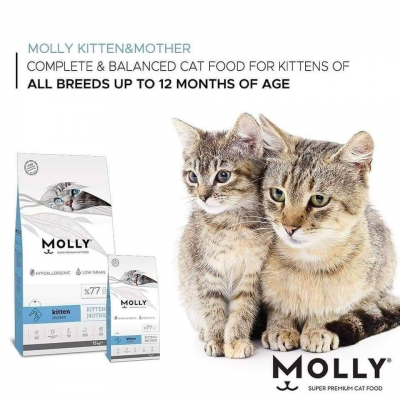 Molly Kitten & Mother