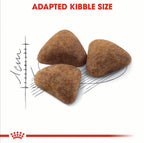 Royal canin Indoor 27