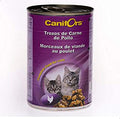 Canifors