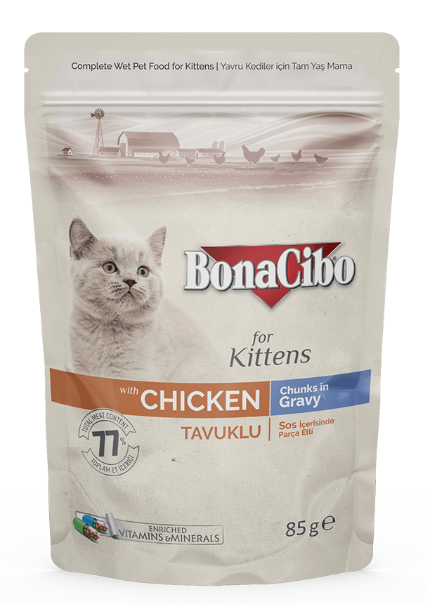 Bona Cibo For kittens