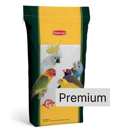 Cardellini Premium
