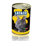 Cat And Co