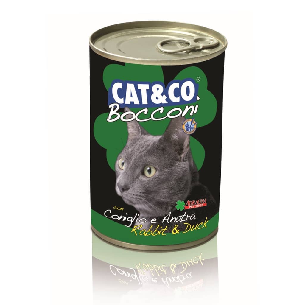 Cat And Co