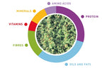 Natural Vegetables