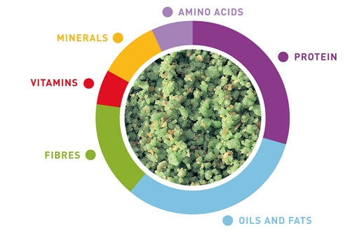Natural Vegetables