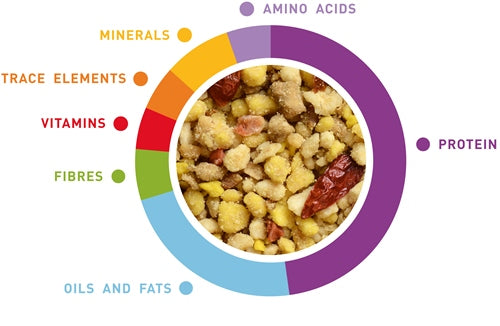 Wellness Paté for Parakeets
