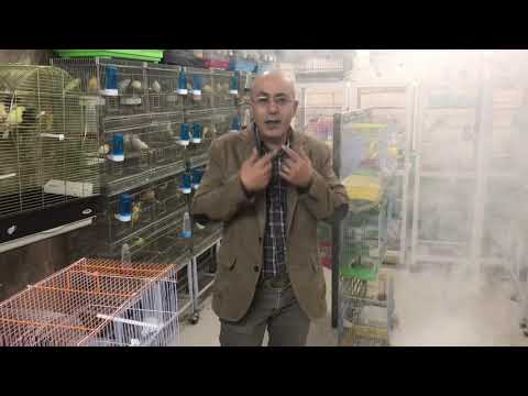 Fumisan Smoke
