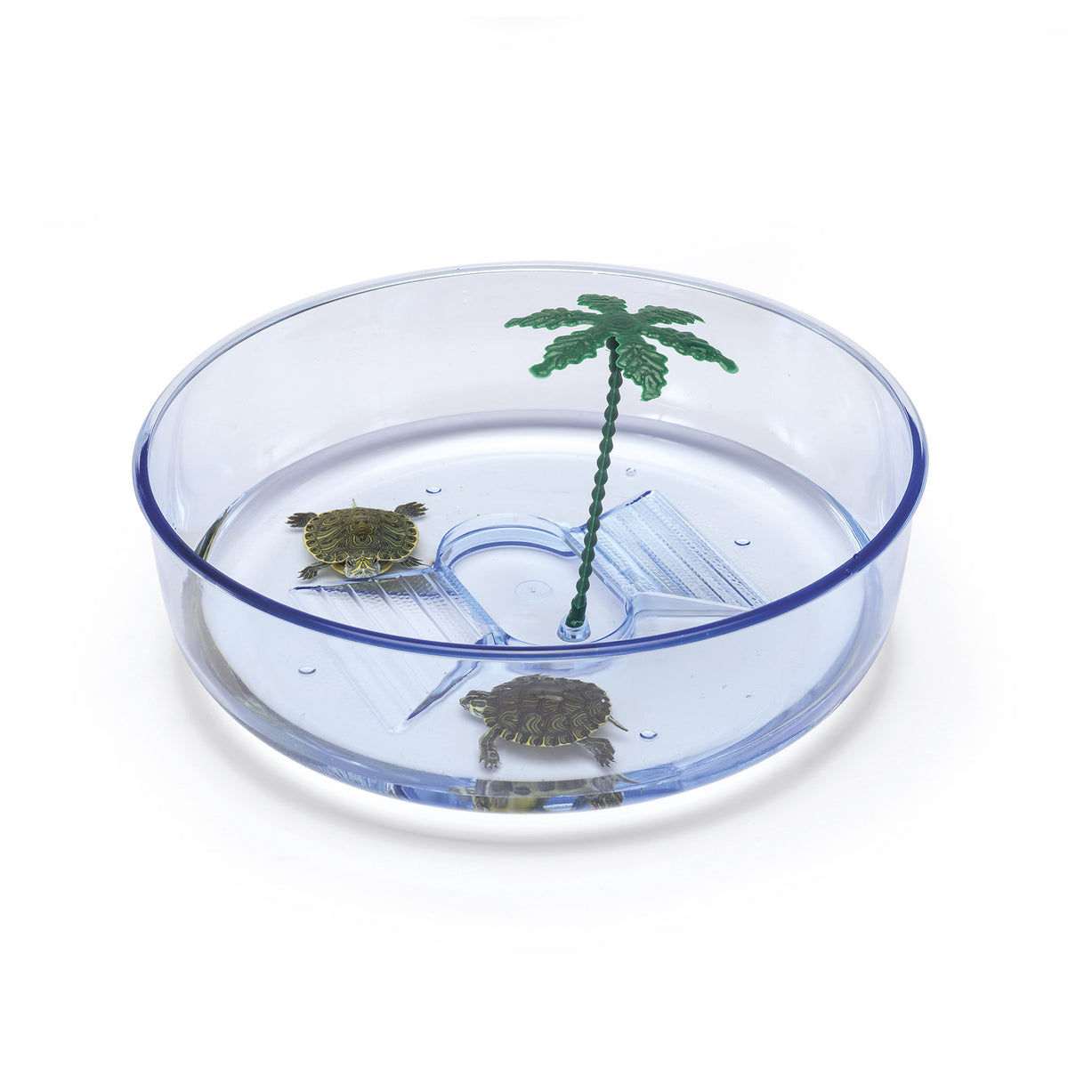 TURTLE حوض سلاحف